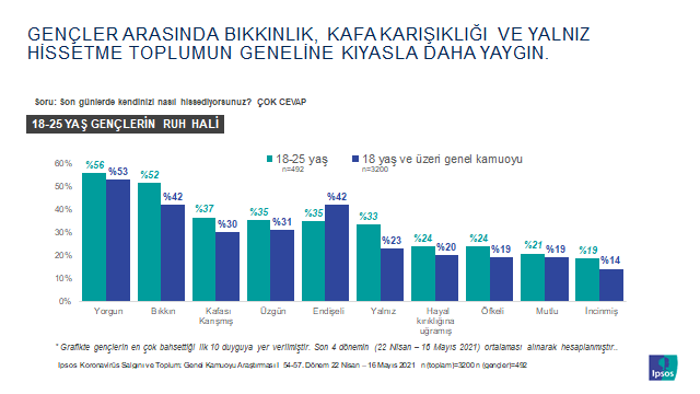 Ipsos Türkiye