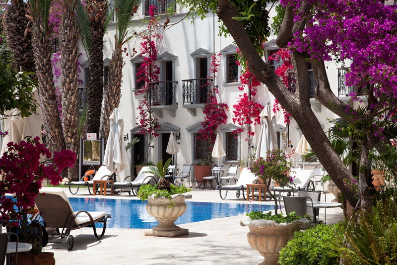 Pause Dergi, Pause Travel