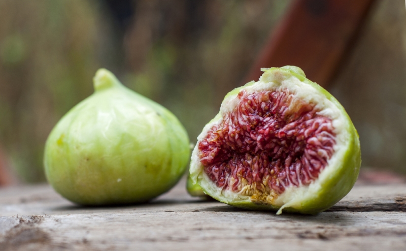 Pause Dergi, Pause Sağlık