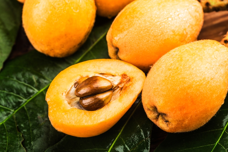 Pause Dergi, Pause Sağlık