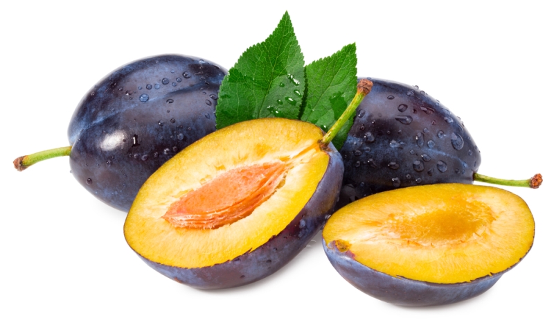 Pause Dergi, Pause Sağlık