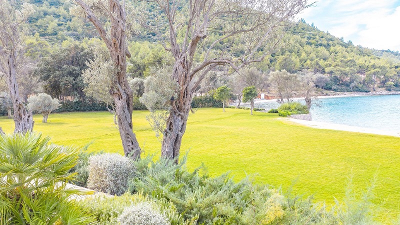 Pause Dergi, Pause Travel