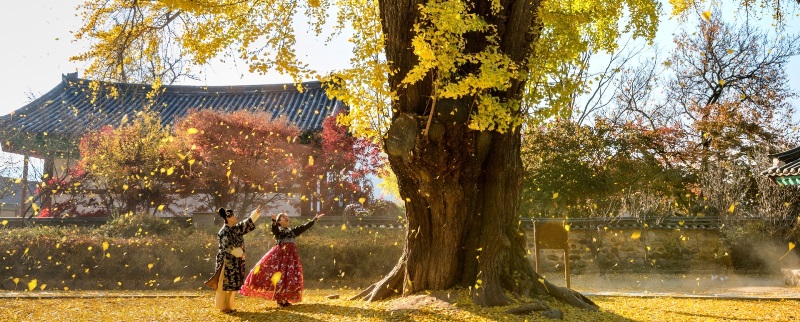 Pause Dergi, Pause Travel