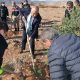 İliç’de "Bugün Fidan, Yarın Nefes"