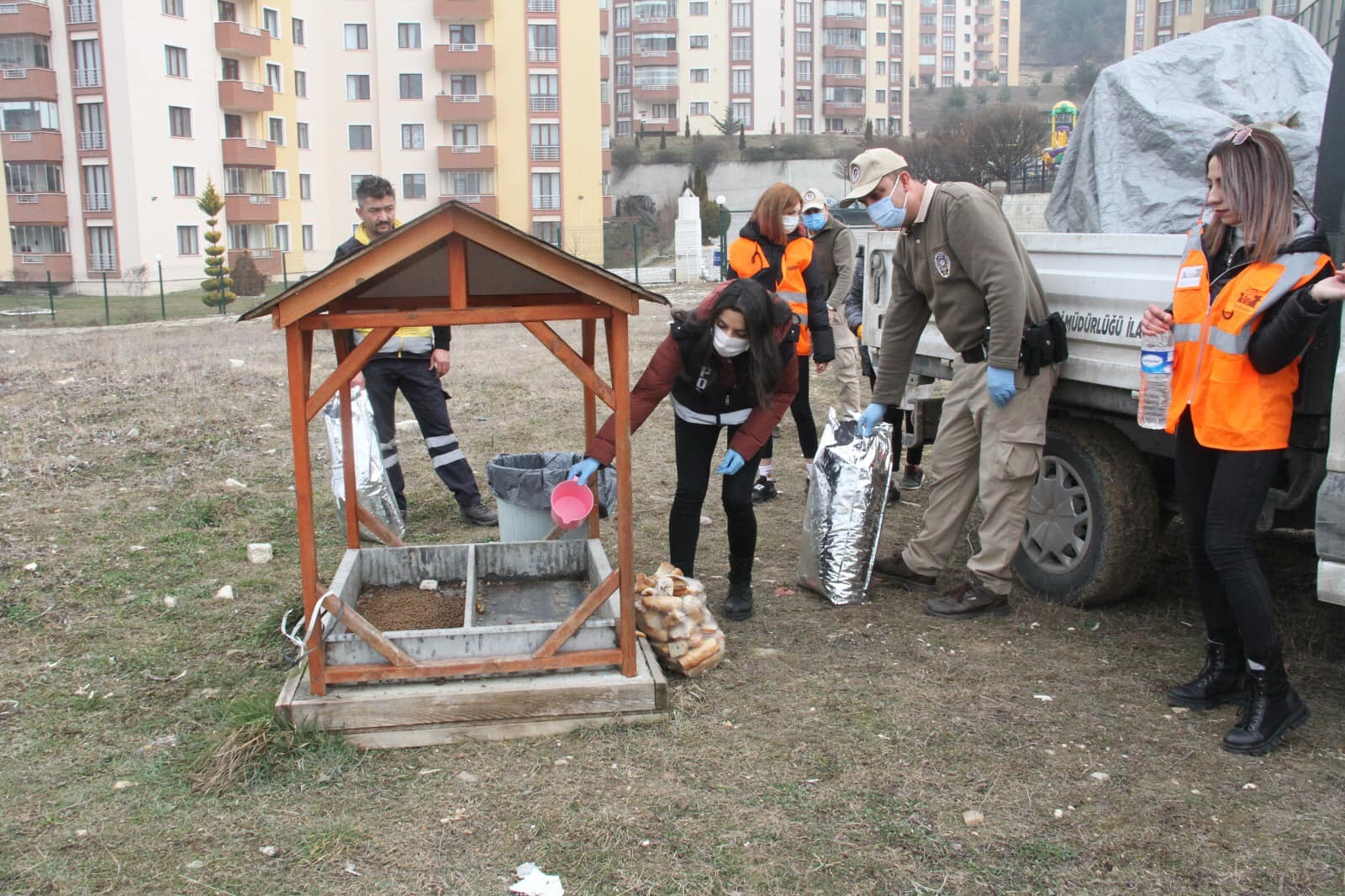 Kastamonu’da Sokak hayvanları unutulmadı