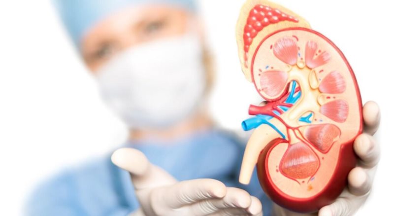 Pause Sağlık, Pause Dergi