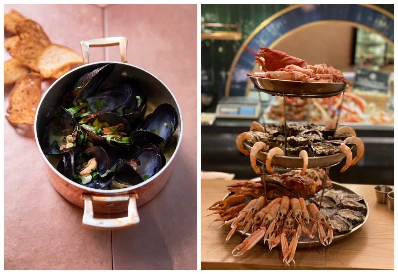 Steeve by İsmet Saz