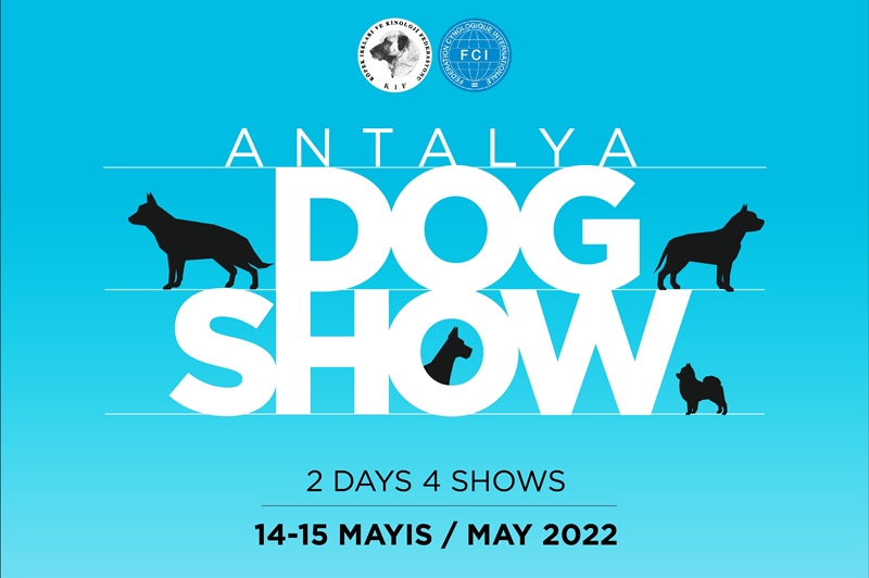 Antalya Dog Show başlıyor