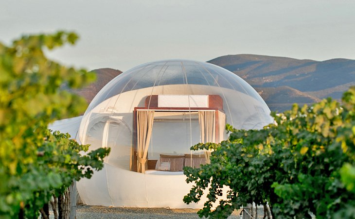 Campera Otel Burbuja -  Meksika