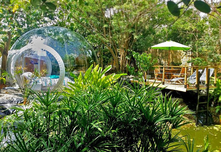 Le Domaine Des Bulles - Martinik