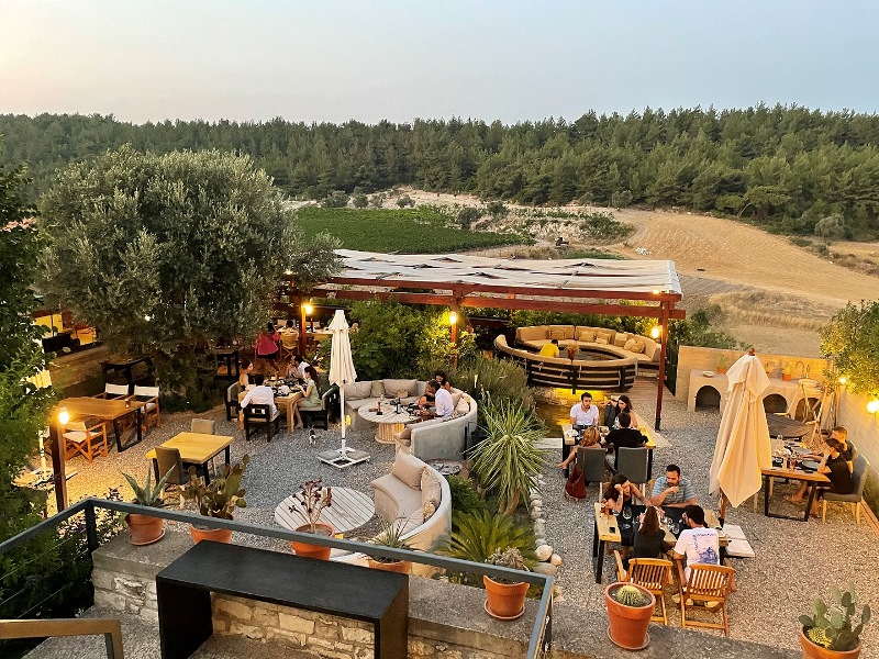 Urla Bağevi’nde bağ bozumu başladı