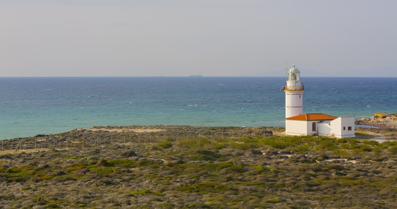 Tatilsepeti