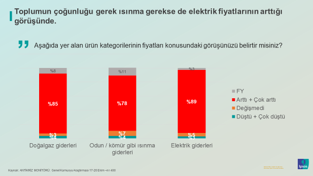 Ipsos 
