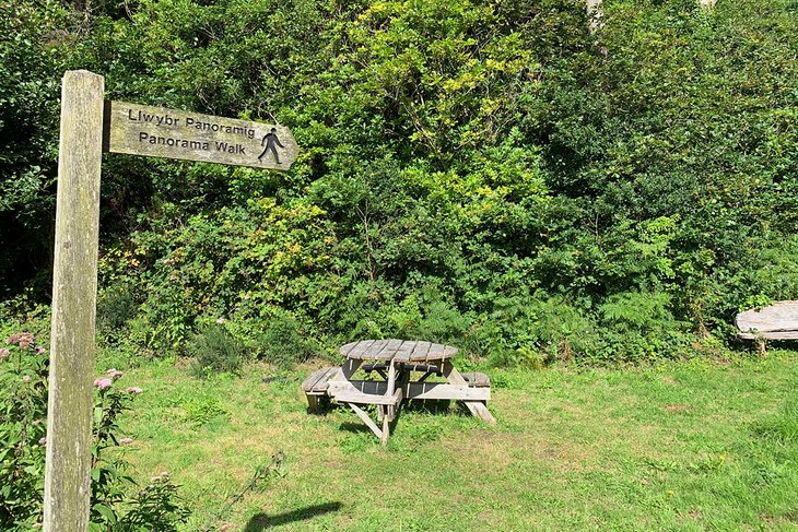 Panorama yürüyüşü