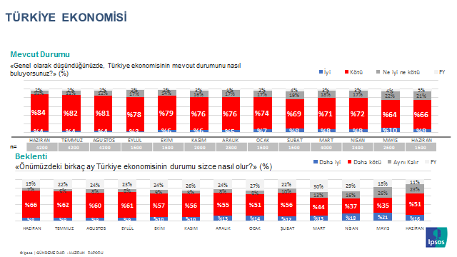 Ipsos Türkiye