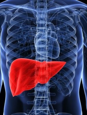 Hepatit hastaları beslenmede karaciğerlerini zorlamamalı
