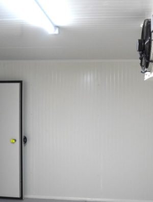 Dalyan soğuk hava deposu açıldı