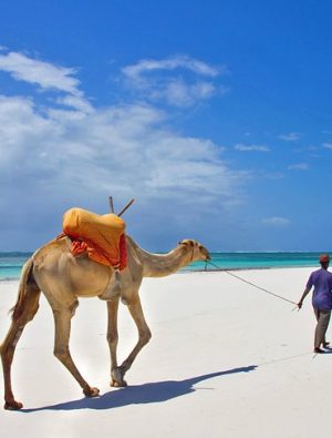 Safari kelimesiyle eş anlamlı ülke “Kenya”