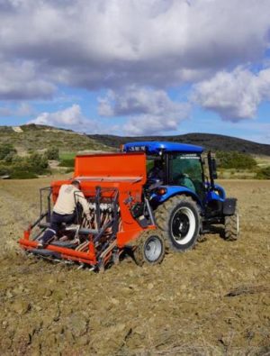 Ata ekmeği Çeşme’de hayat buldu