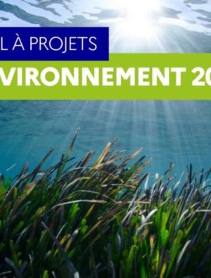 2024 Çevre Proje Çağrısı