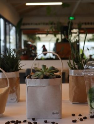 Bahçe’ye dönüşen bardaklar