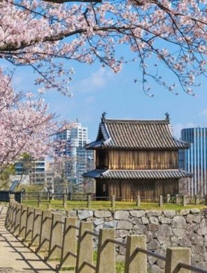 Tarihine ve kültürüne bağlı ülke Japonya