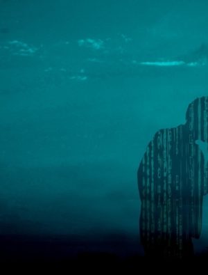 Sevgili adayınız bir dolandırıcı olabilir mi?   