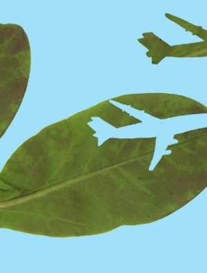 Yerle Gök Arasında