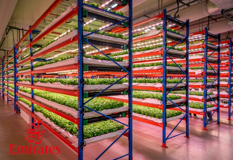 Emirates dikey çiftlik satın aldı