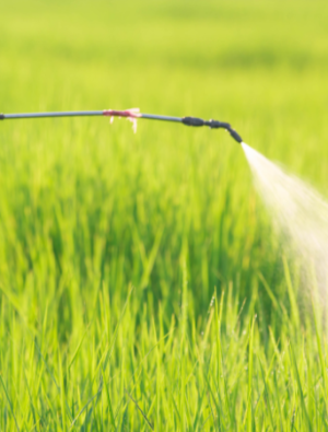 Türkiye pestisit kaynaklı bildirimlerde yine ilk sırada