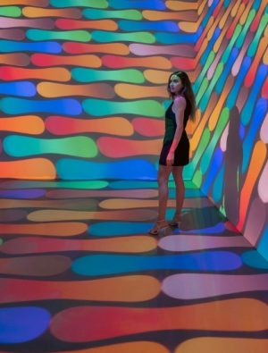 Beş duyuya hitap eden sergi