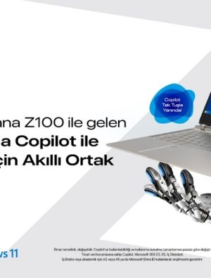 Yapay zekada Nirvana