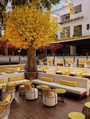 Puente Romano Beach Resort'taki La Plaza'nın yenilendi