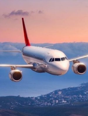 Suikast girişimi havayolunu vurdu