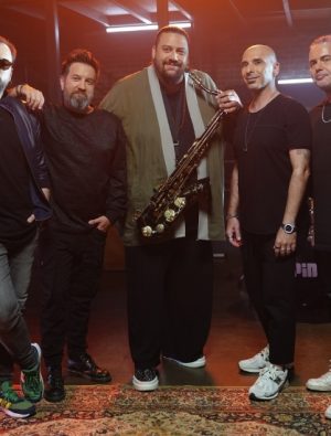 Anıl Şallıel, Gripin “Sen Gidiyorsun”