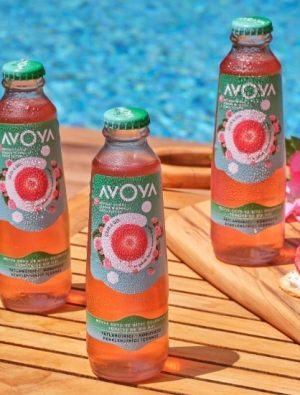 En Yüksek Magnezyum ve Toplam Mineral sahip Maden Suyu AVOYA