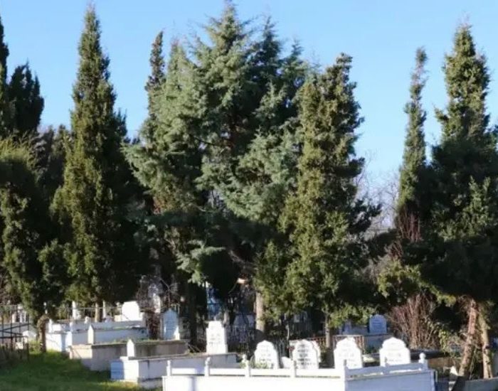 Eyüpsultan Belediyesi mezarlık arazisi konusuna açıklık getirdi