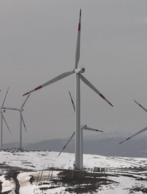 Eksun Gıda’dan yeşil enerjiye büyük yatırım!