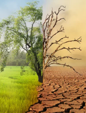 Toplumda her 4 kişiden 3’ü iklim değişikliği etkileri konusunda endişeli!