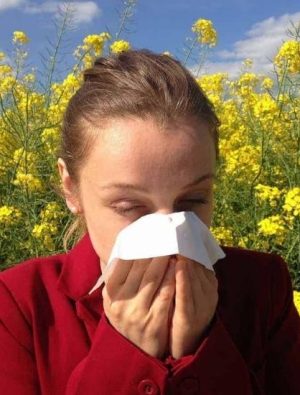Polen alerjisinden korunmanın yolları