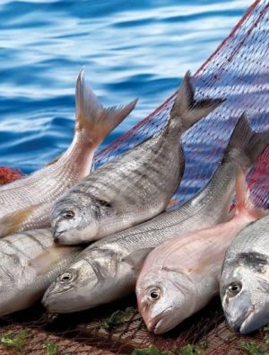 Su ürünleri ihracatı yüzde 100 arttı