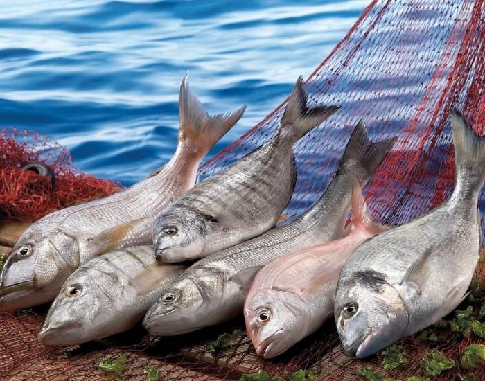 Su ürünleri ihracatı yüzde 100 arttı