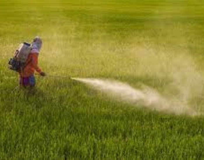 Gıdanın en büyük sorunu Pestisit