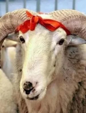 Eti pişirdikten sonra en az 5-10 dakika dinlendirin