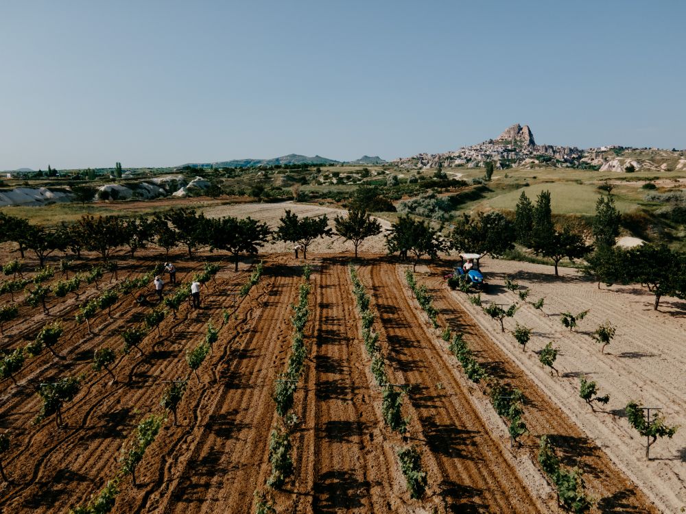 Museum Hotel, Lil’a Restaurant