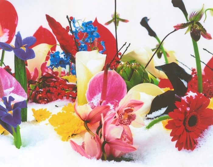 Bir karma bir solo sergi