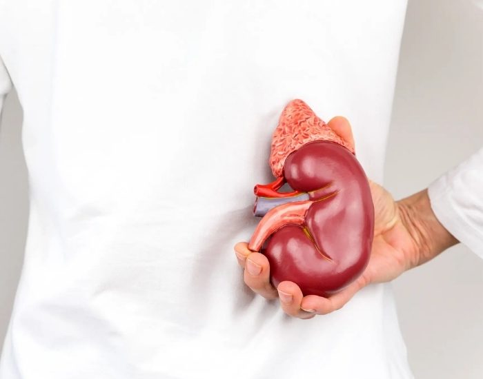 Obeziteden hipertansiyona diyabetten osteoporoza…