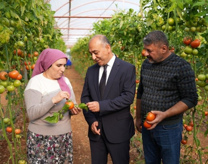 Meyve-sebzede pestisit kontrolü raf öncesine taşındı