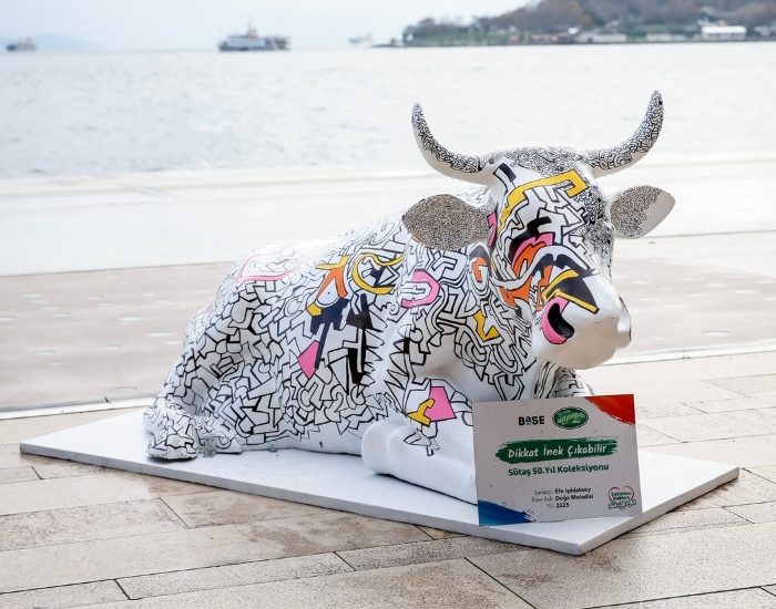 Sanatla yorumlanan inekler Türkiye turunda