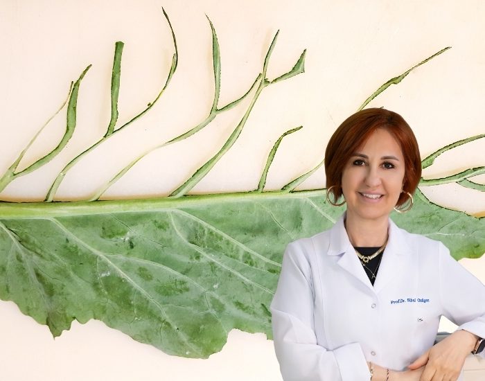 Görsel Doku, sürdürülebilir gıda tüketimini artırabilir
